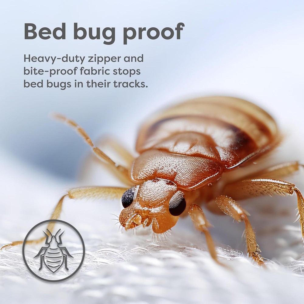 Box Spring Encasement - Zippered Bed Bug Dust Mite Proof Hypoallergenic - Sle...