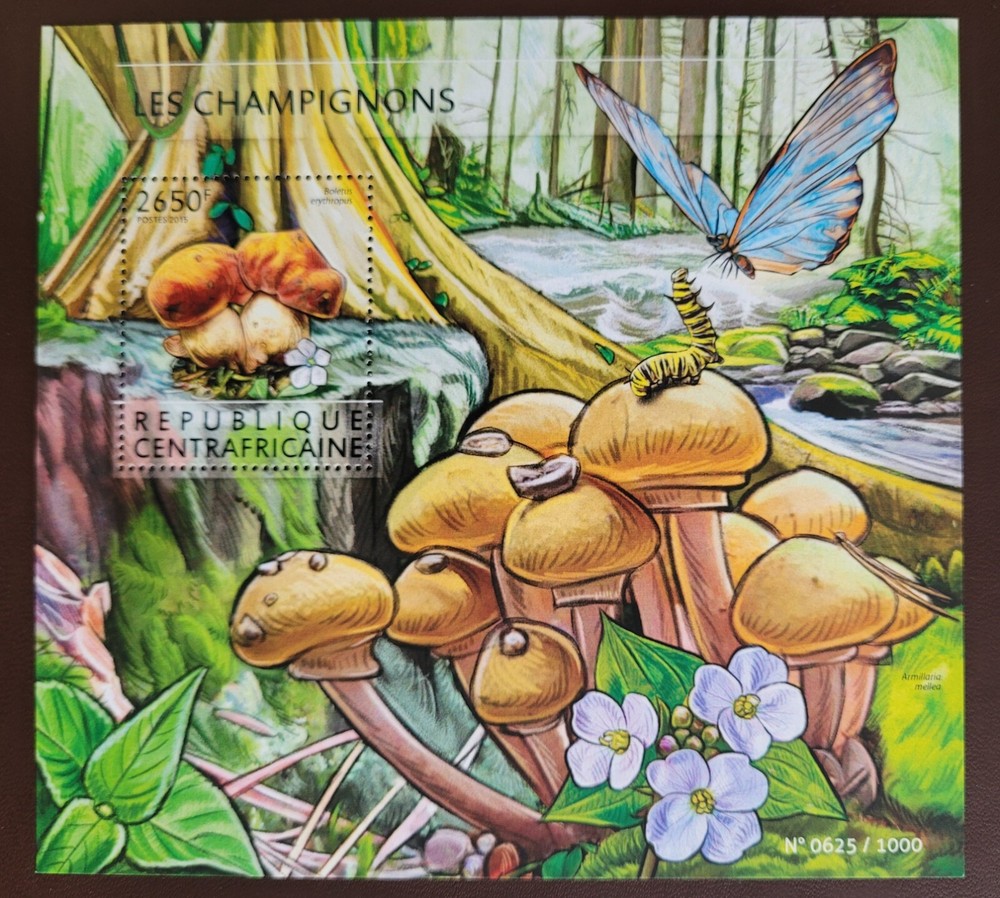Cent.AfricanRep 2015 / Flora - Mushrooms / 1v ms