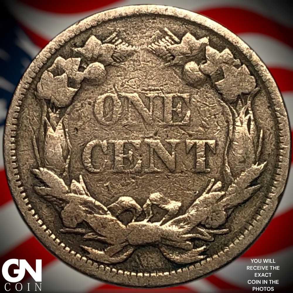 1858 Flying Eagle Cent Penny Z3534
