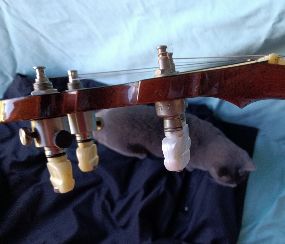 Deering Golden Era Banjo