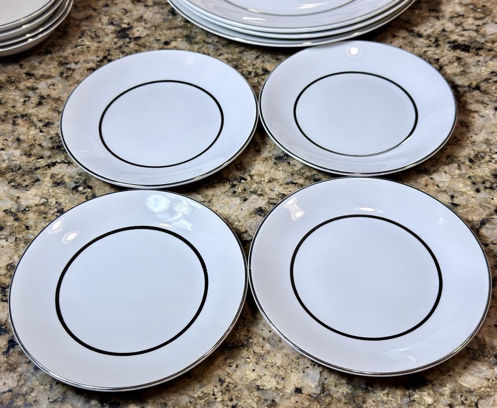 1970’s Salem Silver Elegance Ironstone England 16pc Dinnerware Set Service 4 EC