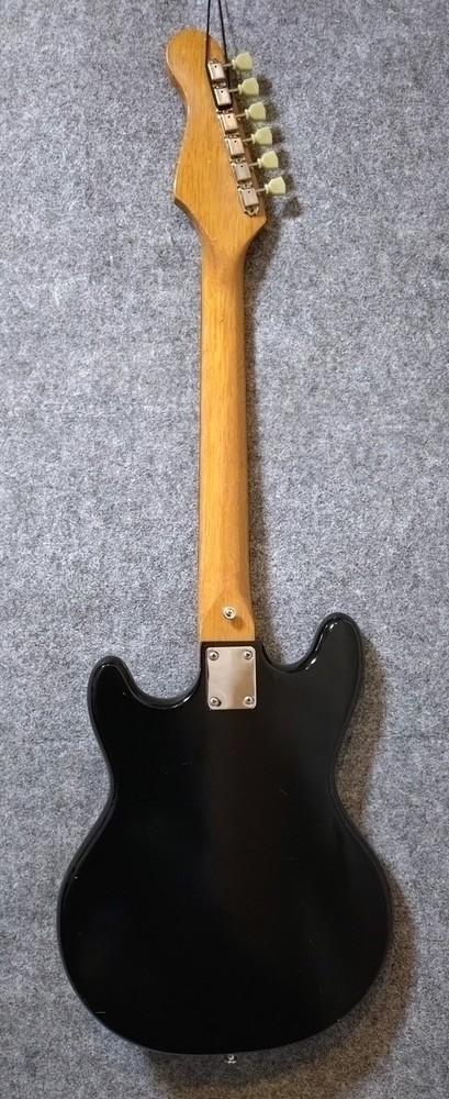 VISION VEG-120 (no260212)