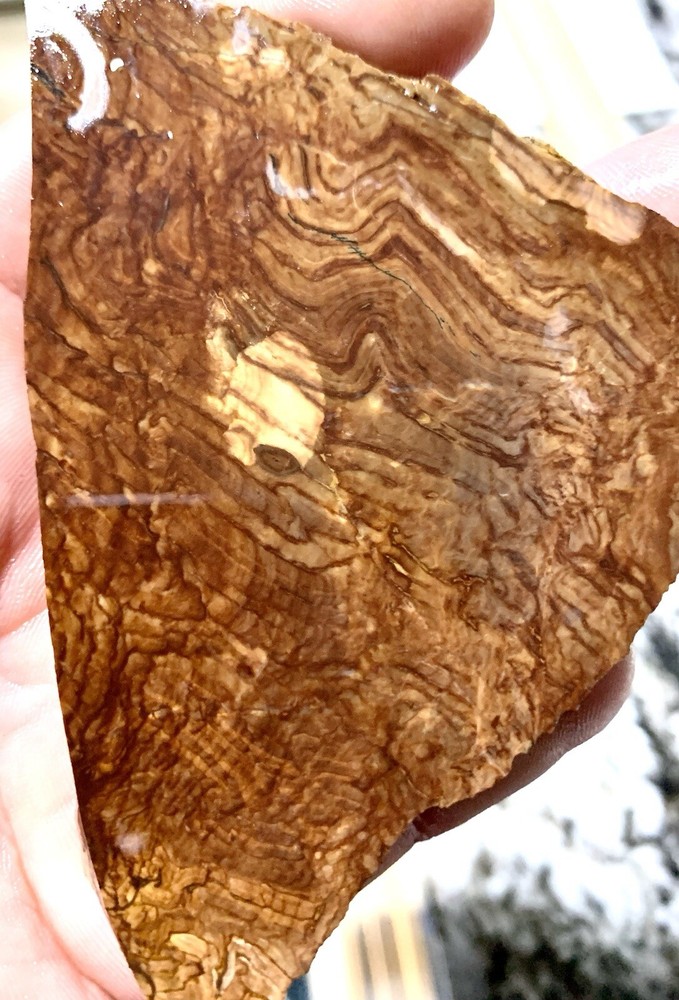 biggs jasper rough slab