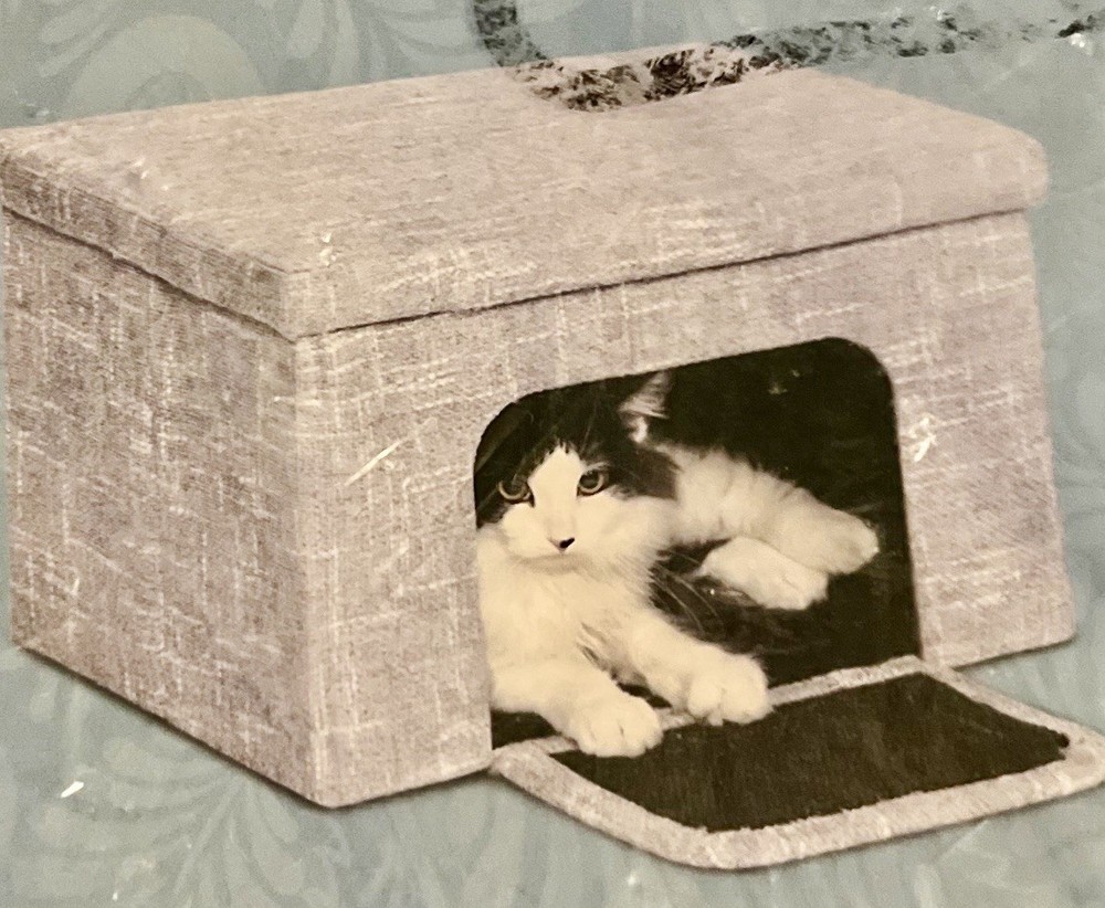 Feline Nuvo Curious Cat Cube